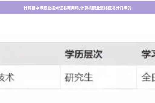 计算机中级职业技术证书有用吗,计算机职业资格证书分几级的