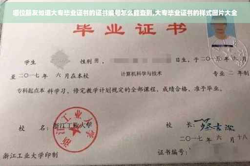 哪位朋友知道大专毕业证书的证书编号怎么能查到,大专毕业证书的样式图片大全