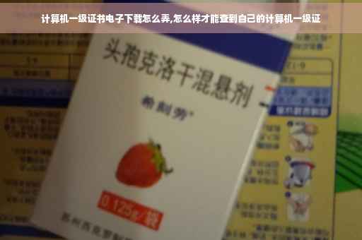 计算机一级证书电子下载怎么弄,怎么样才能查到自己的计算机一级证