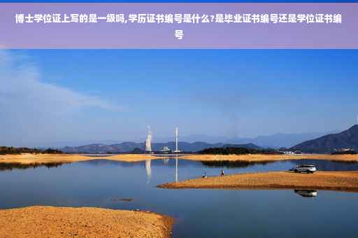 博士学位证上写的是一级吗,学历证书编号是什么?是毕业证书编号还是学位证书编号