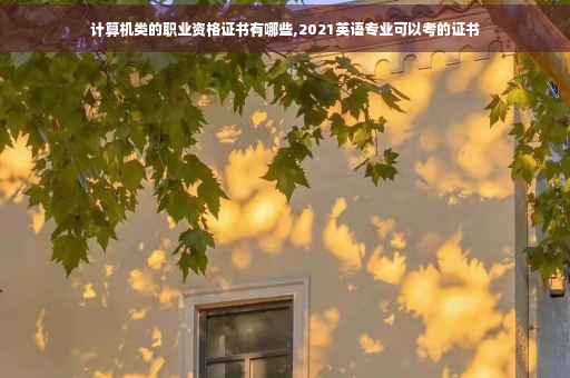 计算机类的职业资格证书有哪些,2021英语专业可以考的证书