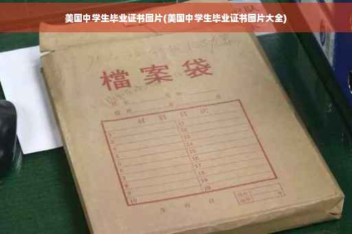 美国中学生毕业证书图片(美国中学生毕业证书图片大全)