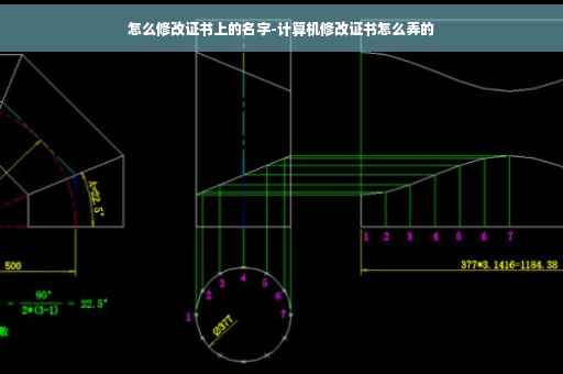 怎么修改证书上的名字-计算机修改证书怎么弄的