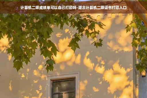 计算机二级成绩单可以自己打印吗-湖北计算机二级证书打印入口