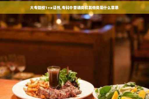 大专院校1+x证书,专科中普通类和其他类是什么意思