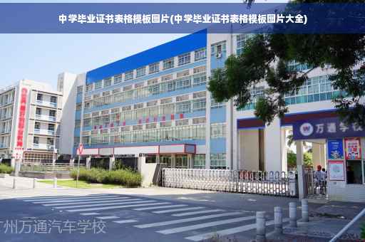 中学毕业证书表格模板图片(中学毕业证书表格模板图片大全)