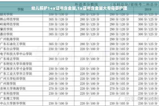 幼儿照护1+x证书含金量,1x证书含金量大专母婴护理