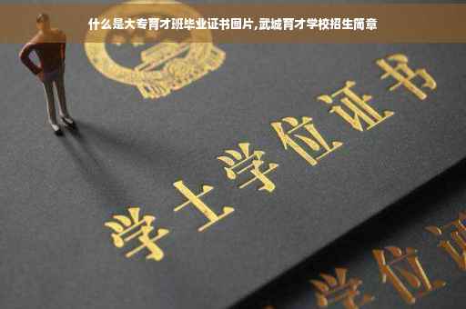 什么是大专育才班毕业证书图片,武城育才学校招生简章