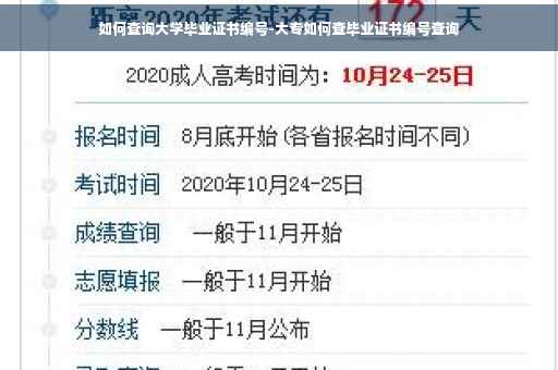 如何查询大学毕业证书编号-大专如何查毕业证书编号查询