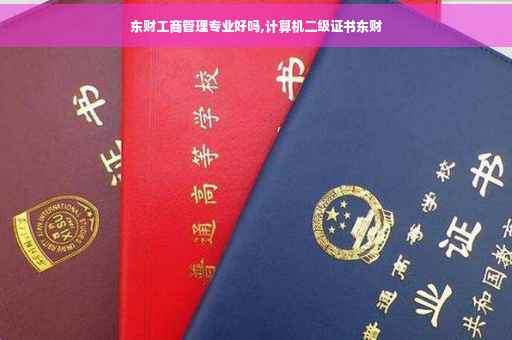 东财工商管理专业好吗,计算机二级证书东财