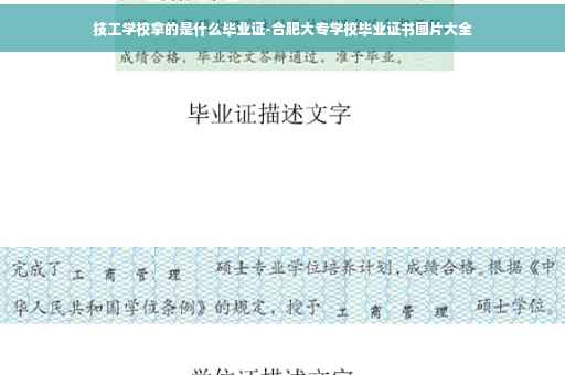 技工学校拿的是什么毕业证-合肥大专学校毕业证书图片大全