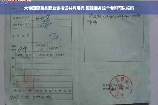 大专国际商务职业资格证书有用吗,国际商务这个专科可以报吗