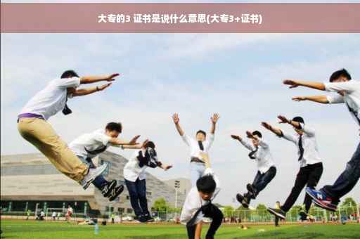 大专的3 证书是说什么意思(大专3+证书)