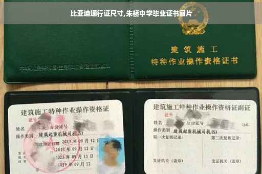 比亚迪通行证尺寸,朱桥中学毕业证书图片