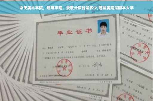 中央美术学院,建筑学院,录取分数线是多少,哪些美院是国本大学 中央美术学院,建筑学院,录取分数线是多少,哪些美院是国本大学