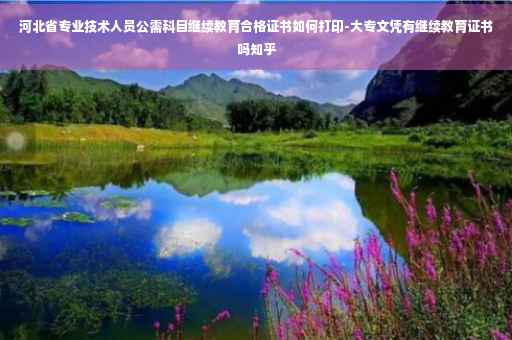 河北省专业技术人员公需科目继续教育合格证书如何打印-大专文凭有继续教育证书吗知乎