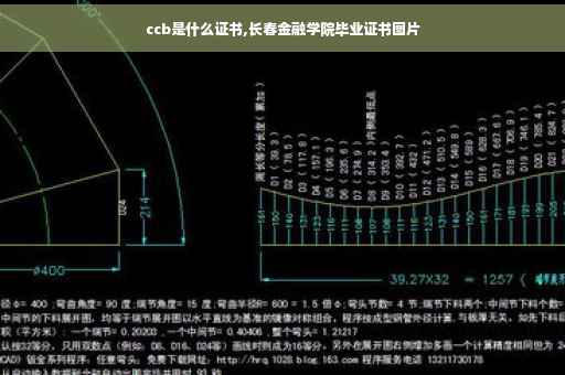 ccb是什么证书,长春金融学院毕业证书图片