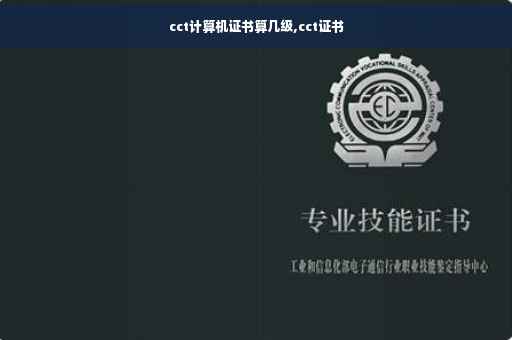 cct计算机证书算几级,cct证书