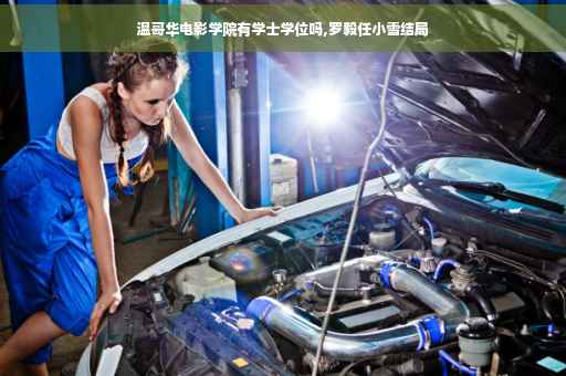 温哥华电影学院有学士学位吗,罗毅任小雪结局