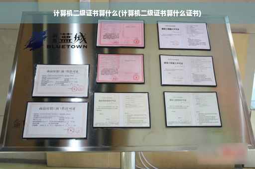 计算机二级证书算什么(计算机二级证书算什么证书)