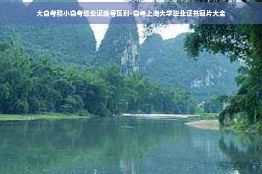 大自考和小自考毕业证编号区别-自考上海大学毕业证书图片大全