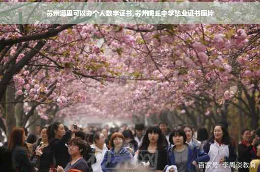 苏州哪里可以办个人数字证书,苏州虎丘中学毕业证书图片