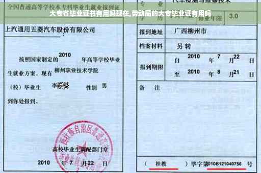 大专省毕业证书有用吗现在,劳动局的大专毕业证有用吗