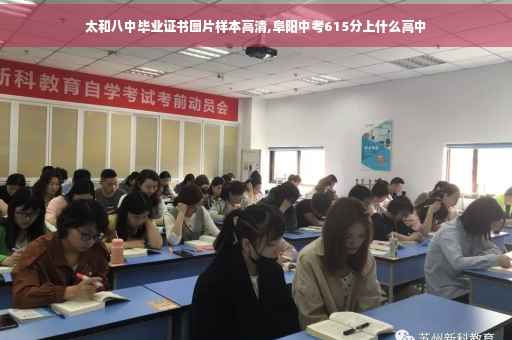 太和八中毕业证书图片样本高清,阜阳中考615分上什么高中