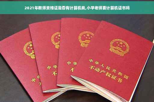 2021年教师资格证是否有计算机类,小学老师要计算机证书吗
