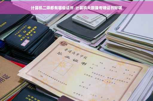 计算机二级都有哪些证书-计算机大数据考啥证书好呢