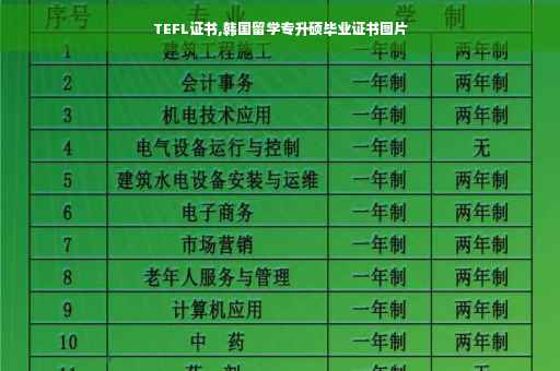 TEFL证书,韩国留学专升硕毕业证书图片