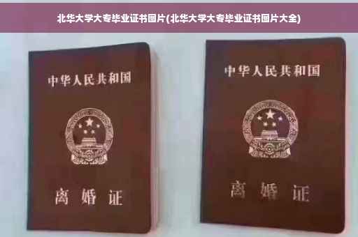 北华大学大专毕业证书图片(北华大学大专毕业证书图片大全)
