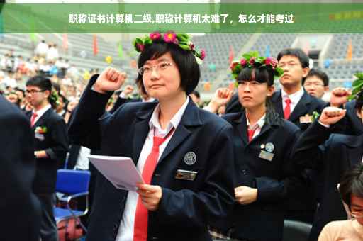 职称证书计算机二级,职称计算机太难了，怎么才能考过