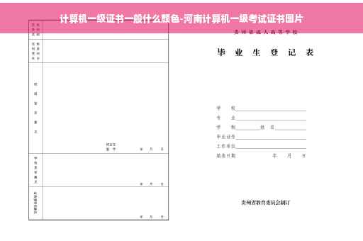 计算机一级证书一般什么颜色-河南计算机一级考试证书图片