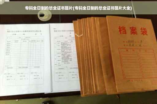 专科全日制的毕业证书图片(专科全日制的毕业证书图片大全)