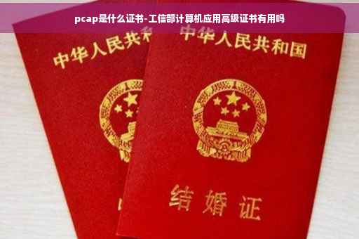 pcap是什么证书-工信部计算机应用高级证书有用吗