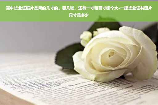 高中毕业证照片是用的几寸的。要几张。还有一寸和两寸哪个大-一摞毕业证书图片尺寸是多少