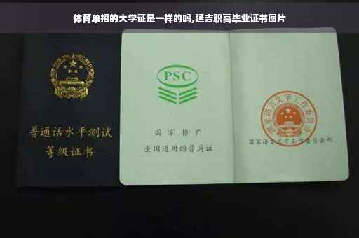 体育单招的大学证是一样的吗,延吉职高毕业证书图片