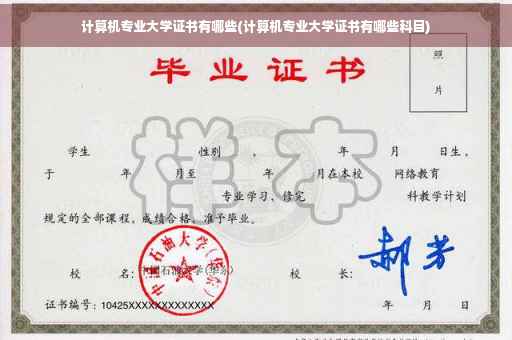 计算机专业大学证书有哪些(计算机专业大学证书有哪些科目) 计算机专业大学证书有哪些(计算机专业大学证书有哪些科目)