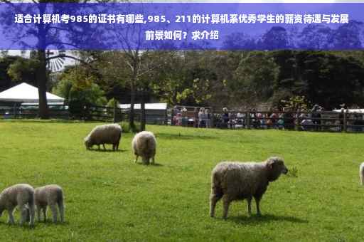 适合计算机考985的证书有哪些,985、211的计算机系优秀学生的薪资待遇与发展前景如何？求介绍
