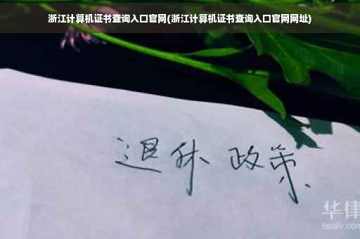 浙江计算机证书查询入口官网(浙江计算机证书查询入口官网网址)