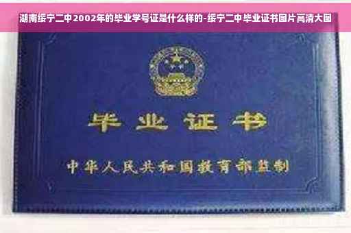 湖南绥宁二中2002年的毕业学号证是什么样的-绥宁二中毕业证书图片高清大图