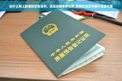 在什么网上能查到毕业证书，而且是国家承认的,技院毕业证书图片高清大图