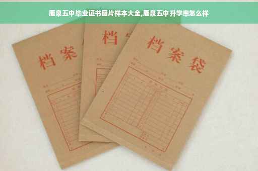 鹿泉五中毕业证书图片样本大全,鹿泉五中升学率怎么样