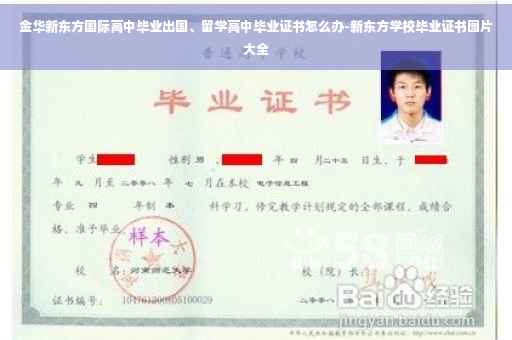 金华新东方国际高中毕业出国、留学高中毕业证书怎么办-新东方学校毕业证书图片大全