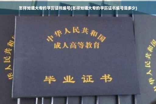 怎样知道大专的学历证书编号(怎样知道大专的学历证书编号是多少)