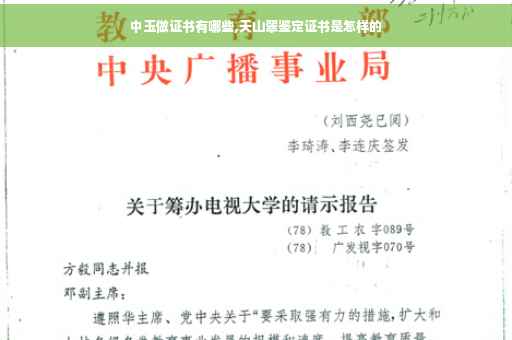 中玉做证书有哪些,天山翠鉴定证书是怎样的