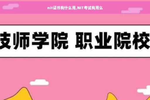 nit证书有什么用,NIT考试有用么