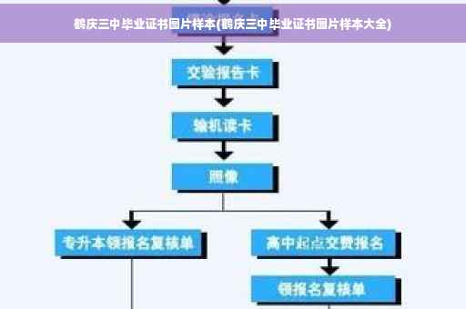 鹤庆三中毕业证书图片样本(鹤庆三中毕业证书图片样本大全)