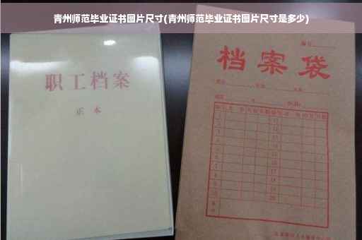 青州师范毕业证书图片尺寸(青州师范毕业证书图片尺寸是多少)